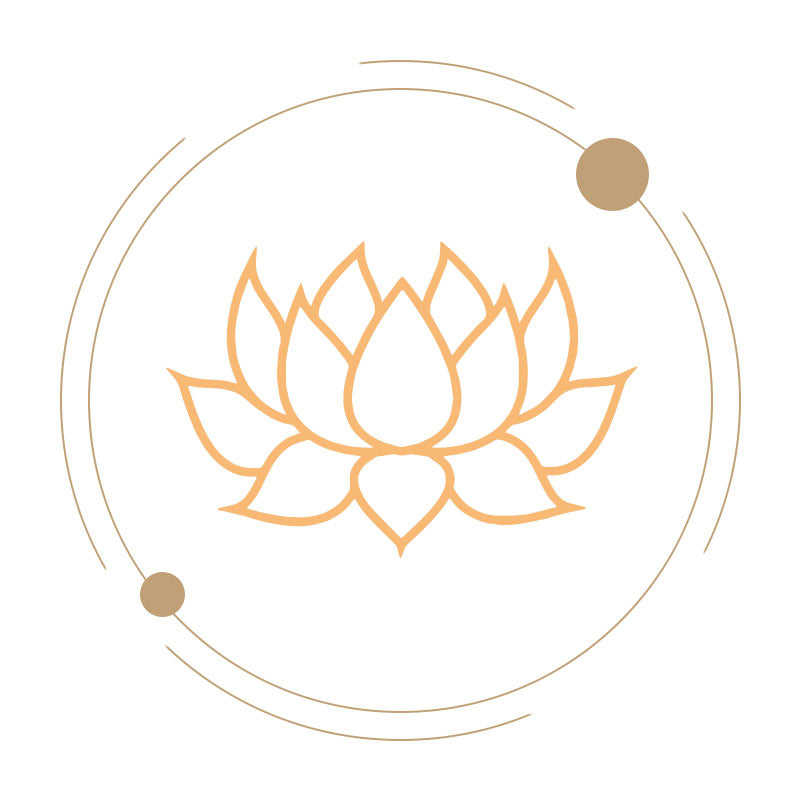LOTUS-ÉCLAIRAGE ET NOUVEAUX DÉBUTS