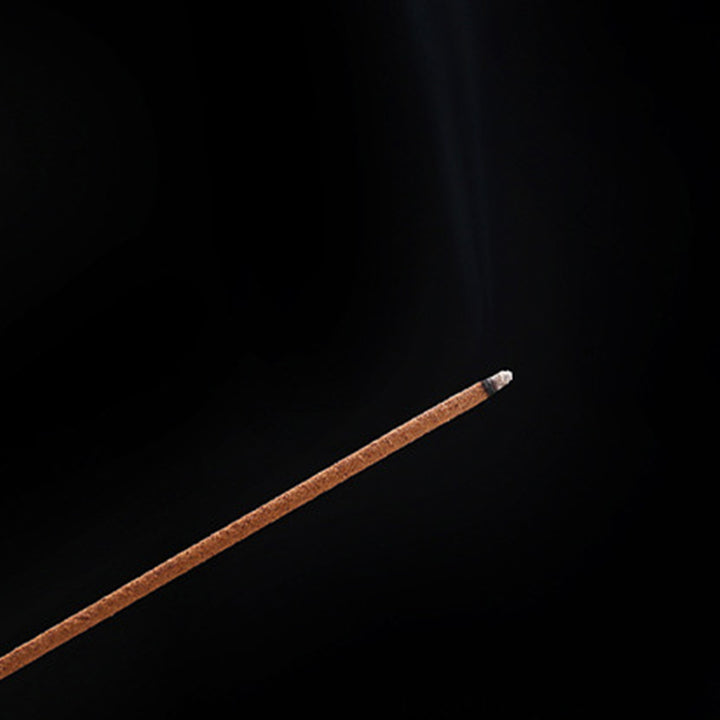 Buddha Stones Encens de guérison tibétain Bouddha