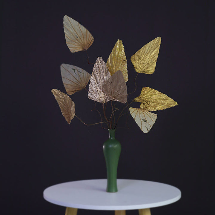 Bouquet de plantes à tige de feuille de lotus triangulaire séchée naturelle, ornements de décoration pour la maison