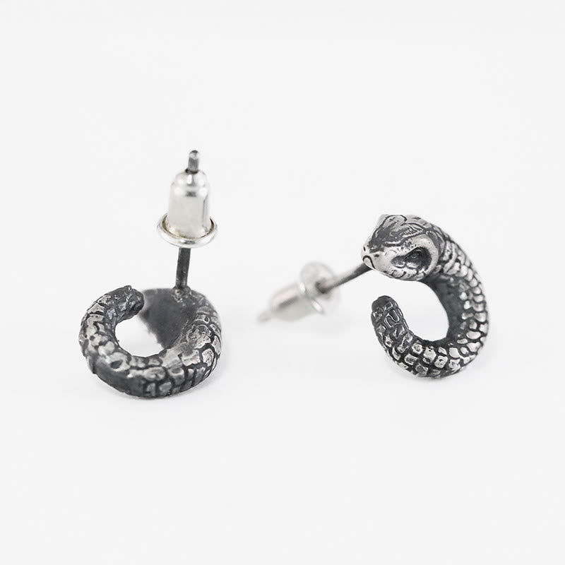 Boucles d'oreilles Buddha Stones en argent sterling 999, texture serpent, protection de l'année du serpent