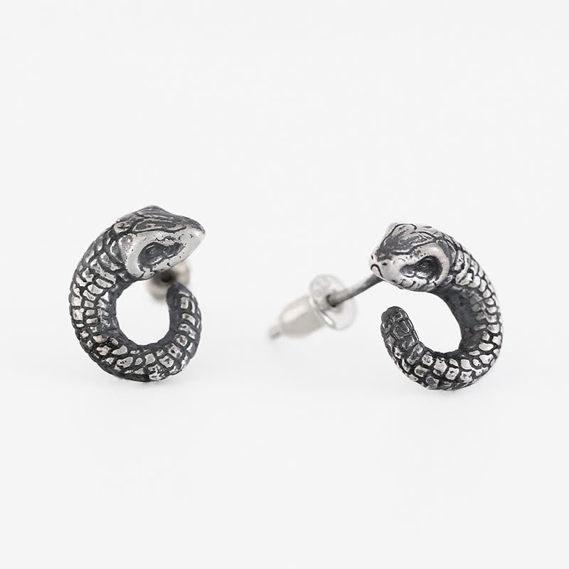 Boucles d'oreilles Buddha Stones en argent sterling 999, texture serpent, protection de l'année du serpent