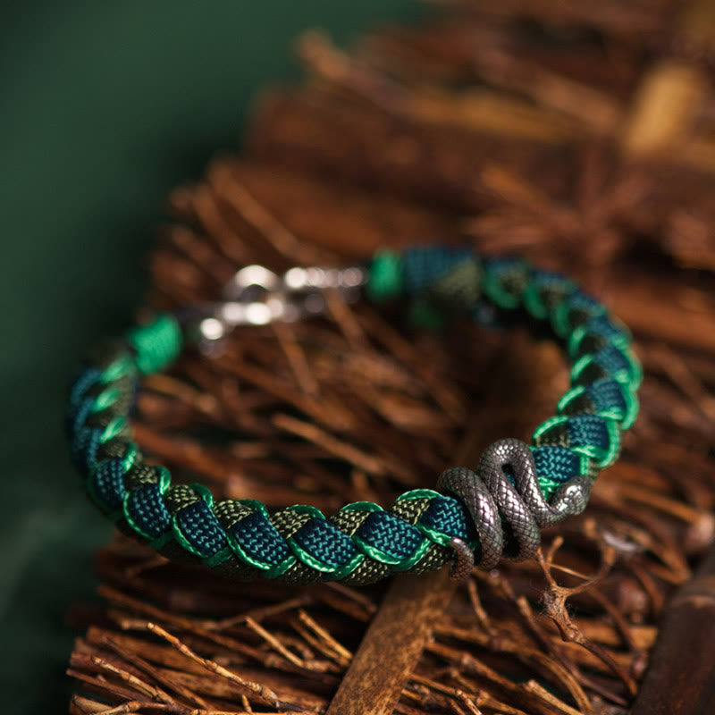 Bracelet tressé de protection en argent sterling 999 Buddha Stones Année du serpent - image 1