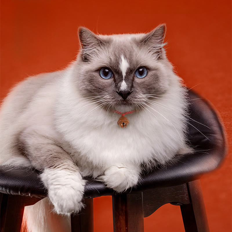 Buddha Stones, corde rouge, perle en bois de pêcher, clochette, résistance réglable, collier pour chats et petits chiens - image 12