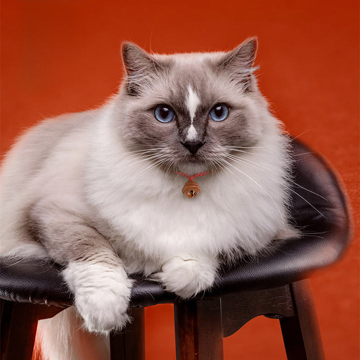 Buddha Stones, corde rouge, perle en bois de pêcher, clochette, résistance réglable, collier pour chats et petits chiens - image 12