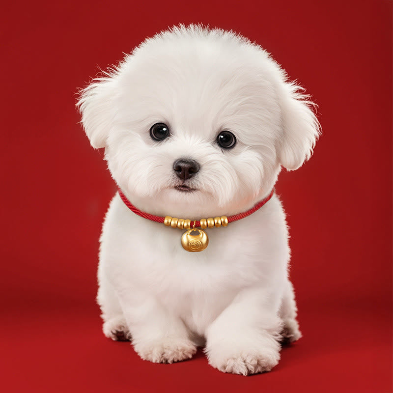 Collier de protection ajustable pour chats et petits chiens, orné de perles rouges et de Buddha Stones - image 3