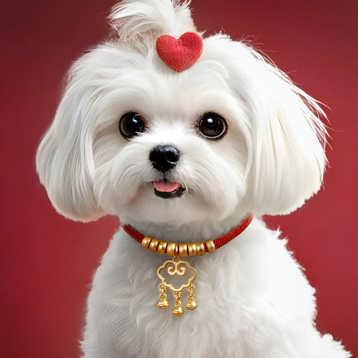 Collier de protection ajustable pour chats et petits chiens, orné de perles rouges et de Buddha Stones - image 10