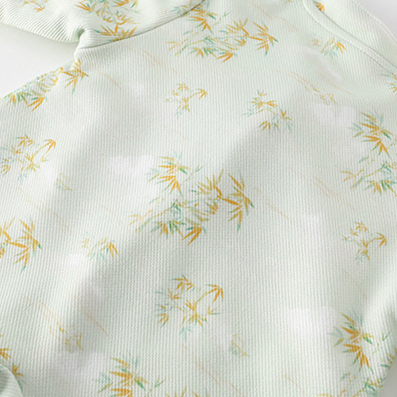 Buddha Stones , printemps/automne - image 9