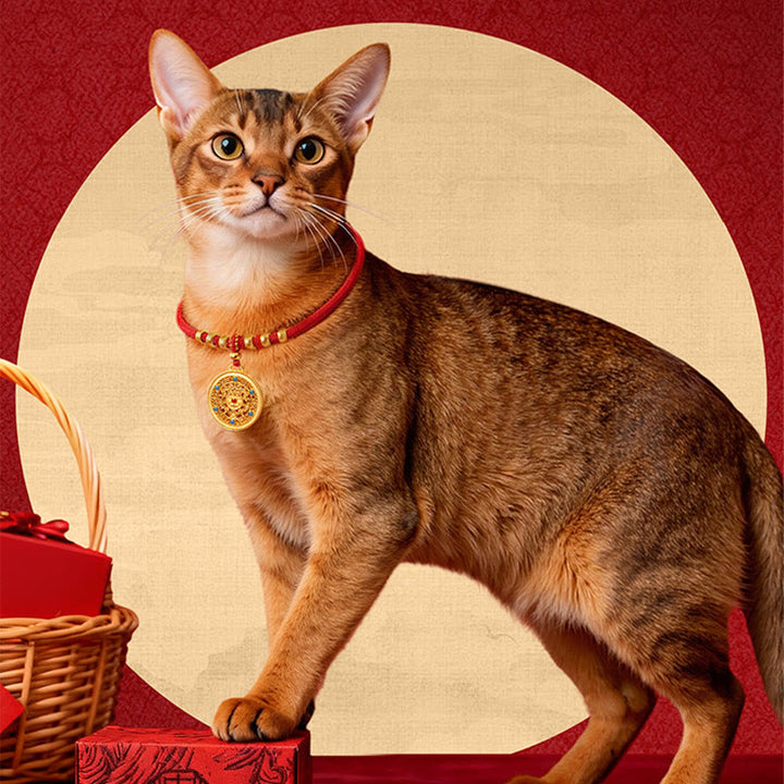 Buddha Stones Collier de protection ajustable pour chats et chiens avec perles rouges et boussole en forme de calebasse - image 12