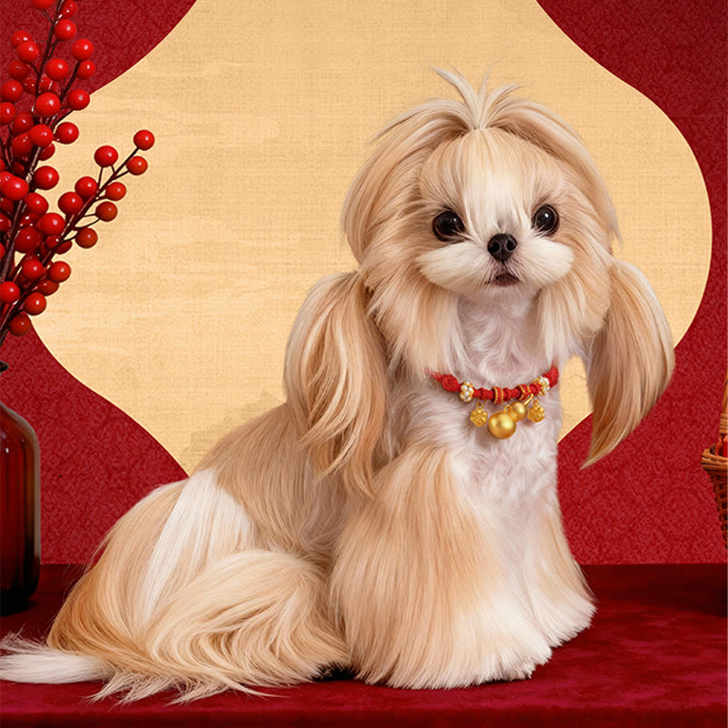 Buddha Stones Collier de protection ajustable pour chats et chiens avec perles rouges et boussole en forme de calebasse - image 0