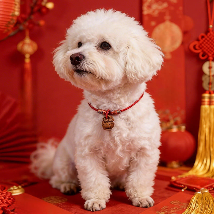 Buddha Stones Collier pour chats et chiens, en corde tressée rouge pêche, à résistance ajustable - image 13