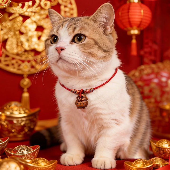 Buddha Stones Collier pour chats et chiens, en corde tressée rouge pêche, à résistance ajustable - image 12