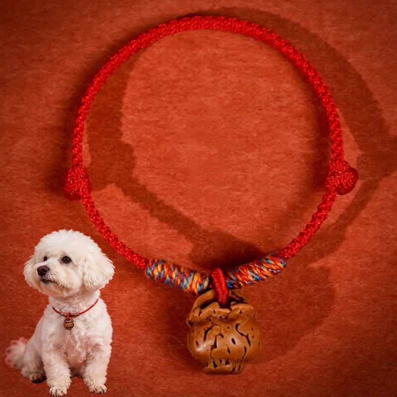 Buddha Stones Collier pour chats et chiens, en corde tressée rouge pêche, à résistance ajustable - image 1