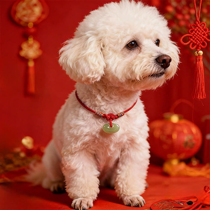 Buddha Stones Collier de protection ajustable pour chats et chiens, en jade tressé rouge, pour la protection. - image 14