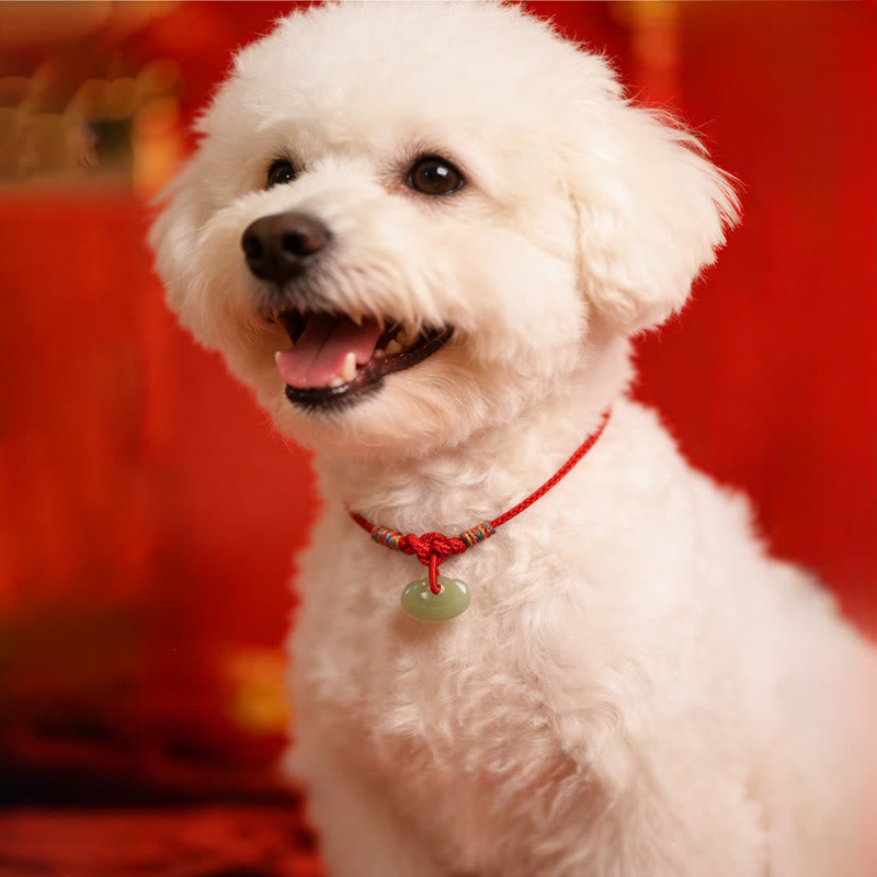 Buddha Stones Collier de protection ajustable pour chats et chiens, en jade tressé rouge, pour la protection. - image 0