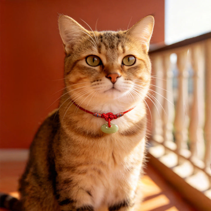 Buddha Stones Collier de protection ajustable pour chats et chiens, en jade tressé rouge, pour la protection. - image 15