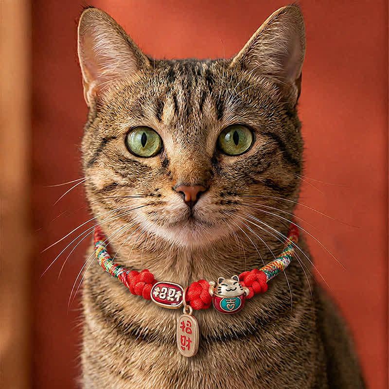 Buddha Stones Collier de protection ajustable pour chat, orné d'un fil rouge tressé et du symbole Fu porte-bonheur. - Rouge - 18-25 cm - image 0