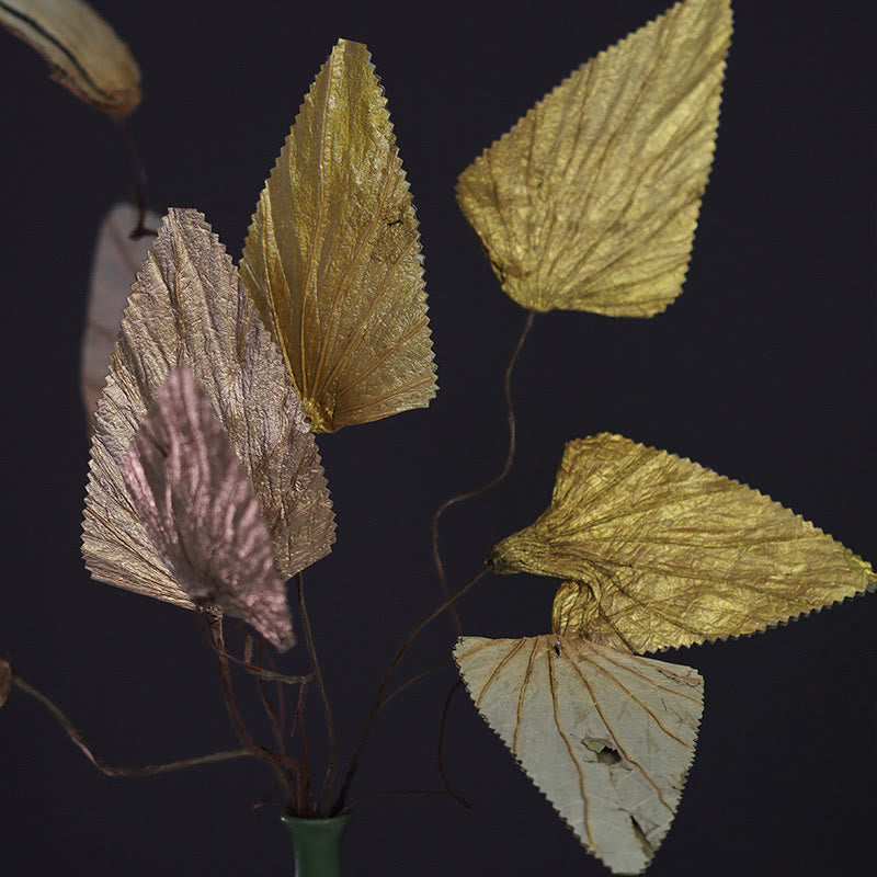 Bouquet de plantes à tige de feuille de lotus triangulaire séchée naturelle, ornements de décoration pour la maison