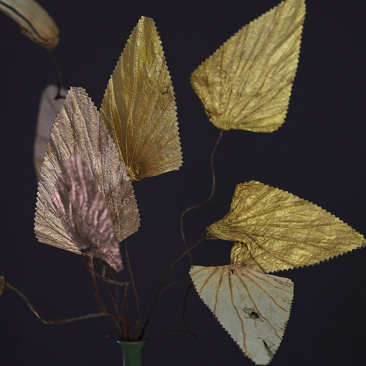 Bouquet de plantes à tige de feuille de lotus triangulaire séchée naturelle, ornements de décoration pour la maison