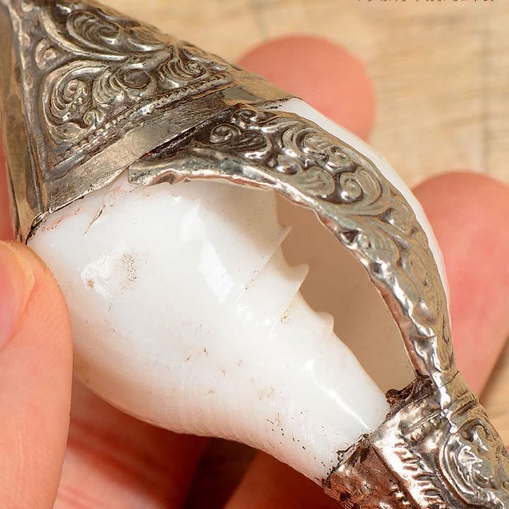 Coquillage de conque tibétain naturel Shankha, décoration porte-bonheur pour la maison - image 5