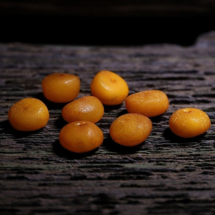 Bracelet porte-bonheur en ambre avec 108 Buddha Stones de Mala en corne de mouton du Tibet