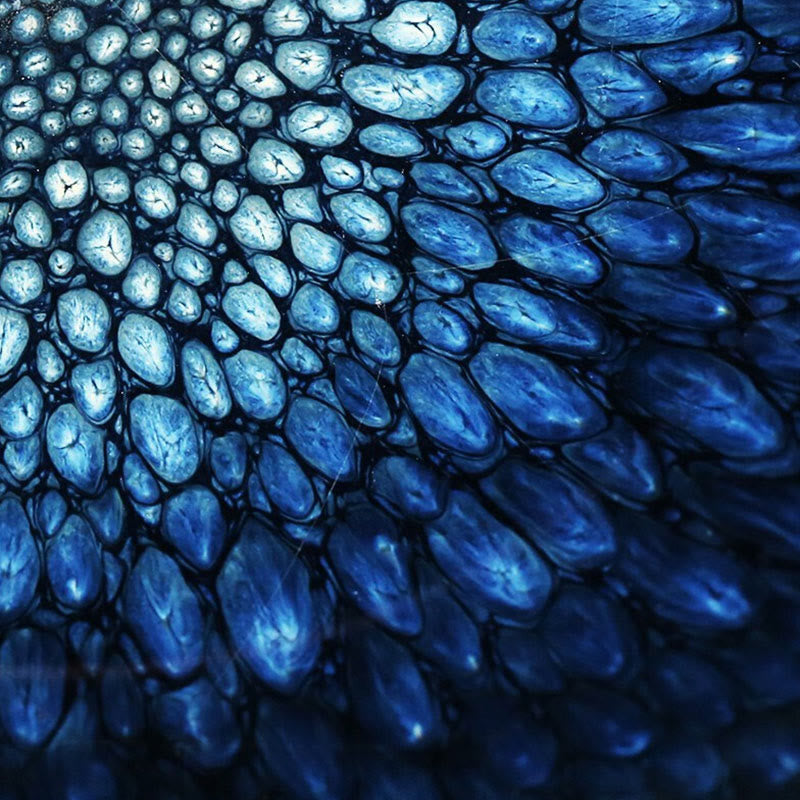 Tasse à thé en céramique chinoise Jianzhan faite à la main en Buddha Stones avec tache de Francolinus bleu - image 4