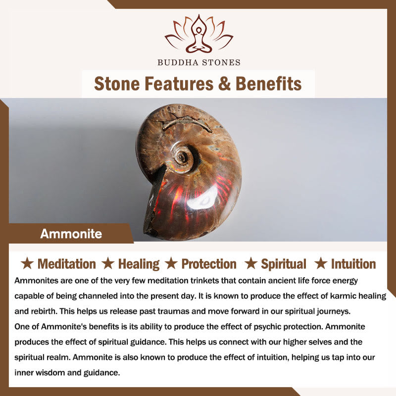 Collier pendentif de guérison et de méditation en Buddha Stones avec motif d'escargot fossile d'ammonite naturelle