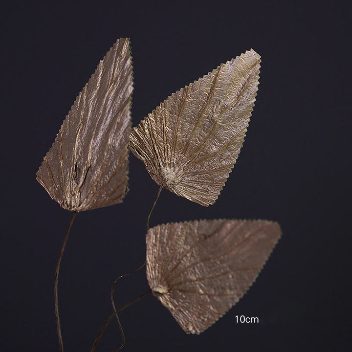 Bouquet de plantes à tige de feuille de lotus triangulaire séchée naturelle, ornements de décoration pour la maison - 10 feuilles brunes - image 2