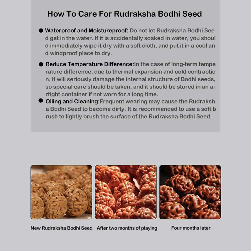 Buddha Stones Tibet Rudraksha Bodhi Graine Dzi Perle Chat Porte-Bonheur Lion Dansant Bracelet de Richesse Poignet Mala