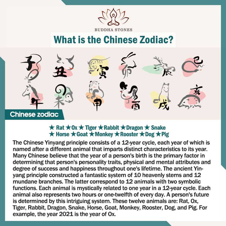 Buddha Stones Zodiaque chinois Feng Shui Obsidienne Bracelet de richesse à cinq éléments