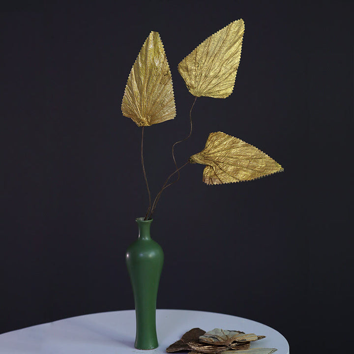 Bouquet de plantes à tige de feuille de lotus triangulaire séchée naturelle, ornements de décoration pour la maison