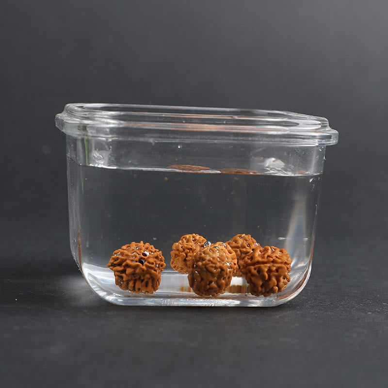 Bracelet porte-bonheur en cuivre Buddha Stones tibétaines Rudraksha Bodhi Seed PiXiu