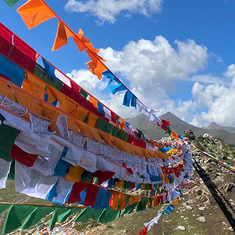 Buddha Stones Drapeaux de prière tibétains porte-bonheur à cinq couleurs représentant le cheval du vent (25 pièces) - image 7