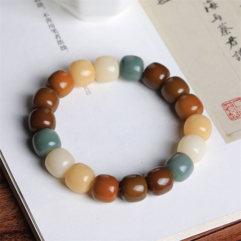 Bracelet Buddha Stones Multicolor Bodhi Seed Éloigne les mauvais esprits
