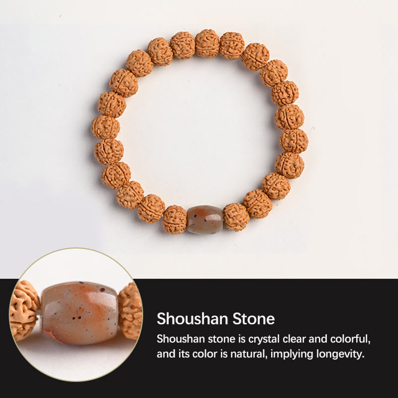 Bracelet de richesse et de bon augure en Buddha Stones tibétaines Rudraksha Bodhi Seed