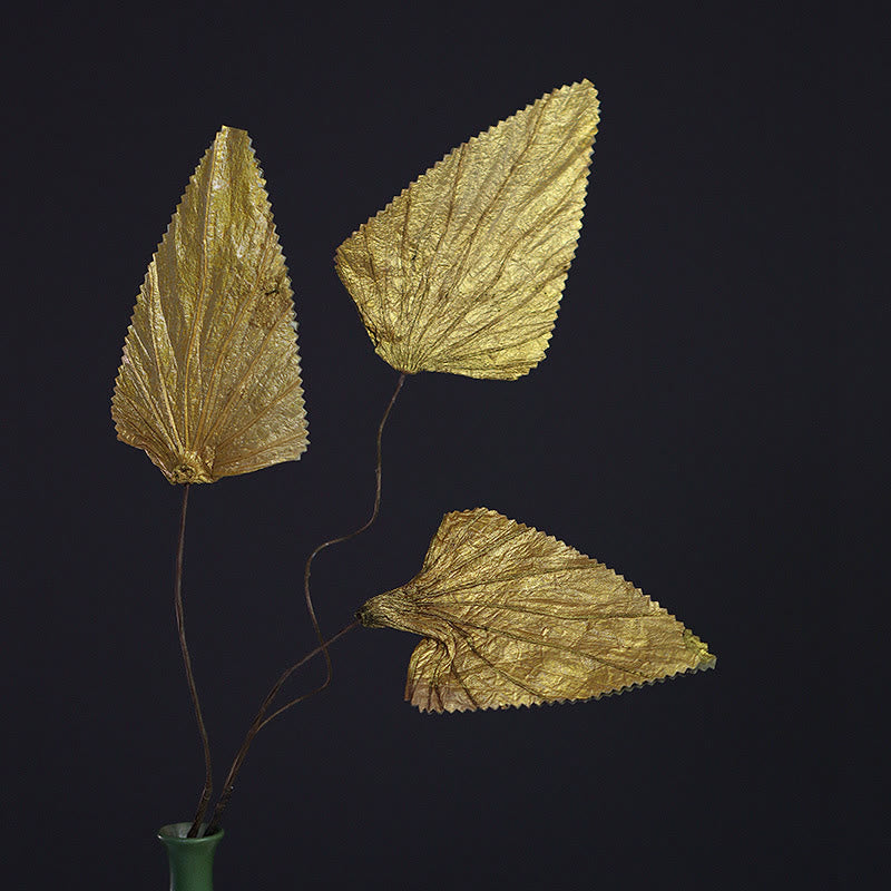 Bouquet de plantes à tige de feuille de lotus triangulaire séchée naturelle, ornements de décoration pour la maison - 10 feuilles d'or - image 4