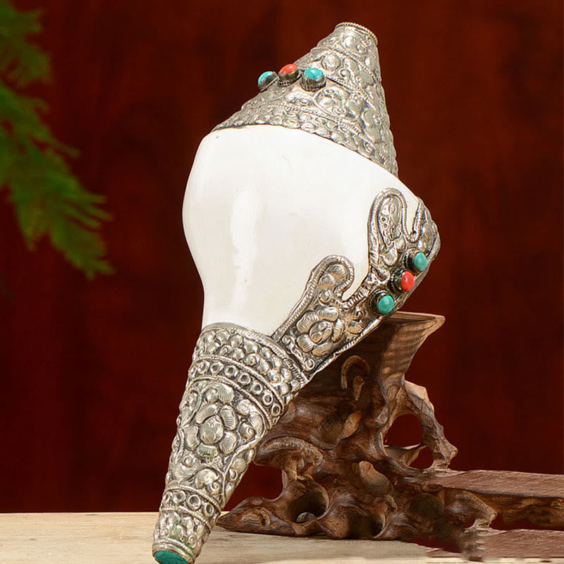 Coquillage de conque tibétain naturel Shankha, décoration porte-bonheur pour la maison - image 14